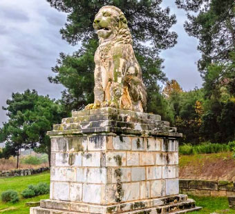 lion